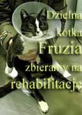 Obrazek