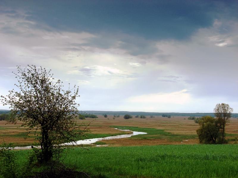 Dołączona grafika