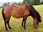 Kliknij by wejść http://images34.fotosik.pl/324/55b9b9e37a28f60cm.jpg
