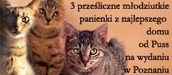 Obrazek