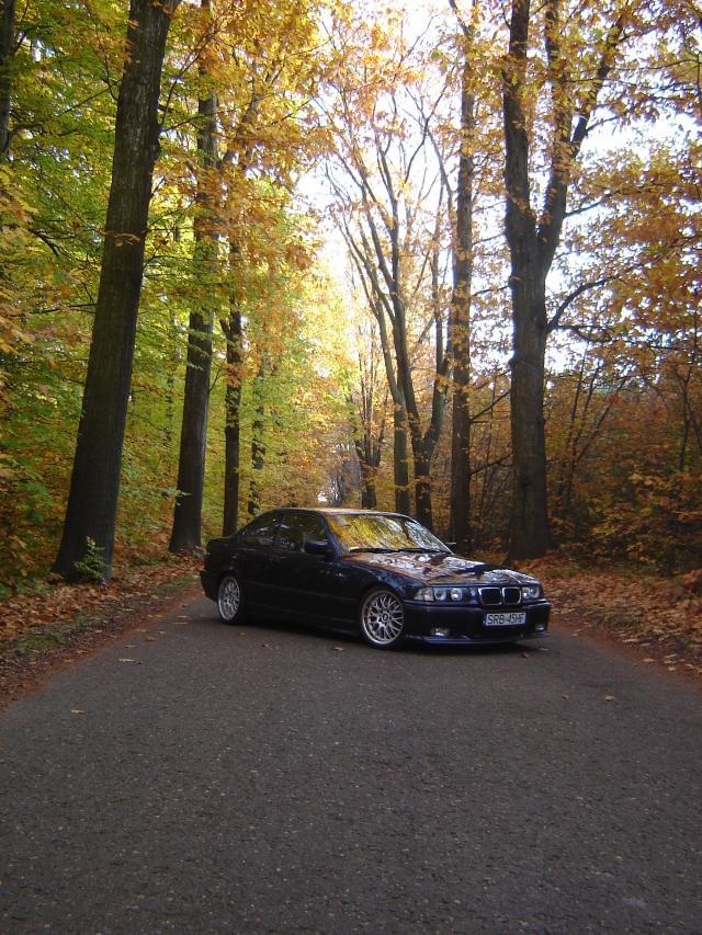 E36 coupe by risto - 3er BMW - E36