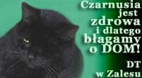Obrazek