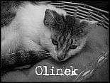 Obrazek
