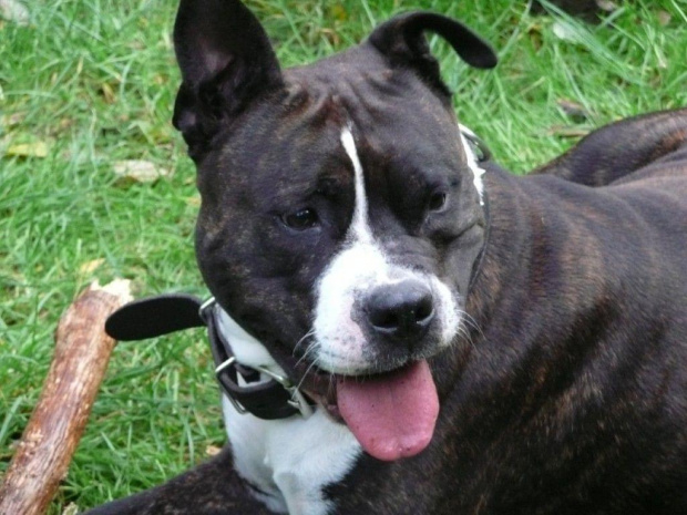 Czy nie jestem piękna?