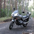 Yamaha XJ600 Diversion