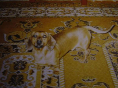 buli