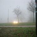 ledwie przebijające się światła samochodu