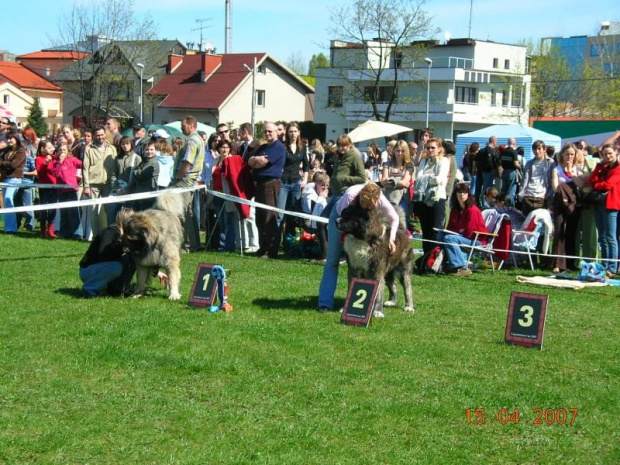 Częstochowa 2007