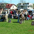 Częstochowa 2007