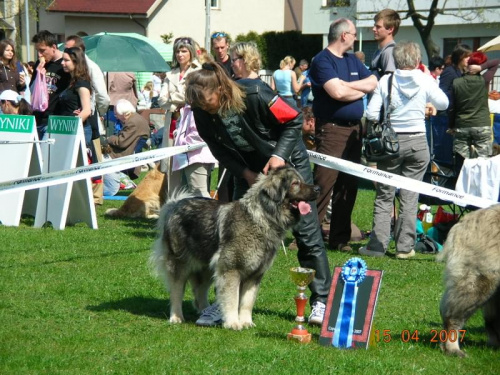 Częstochowa 2007