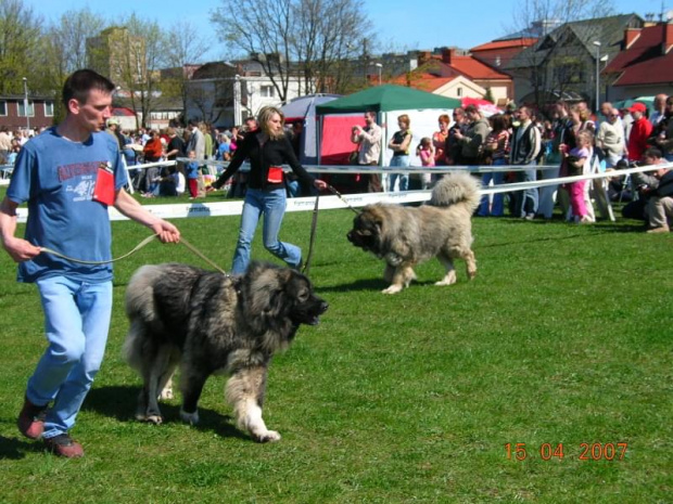 Częstochowa 2007