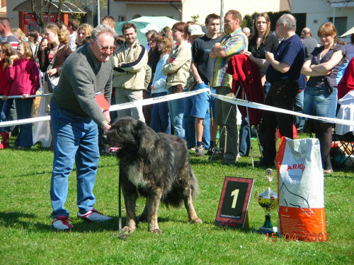 Częstochowa 2007