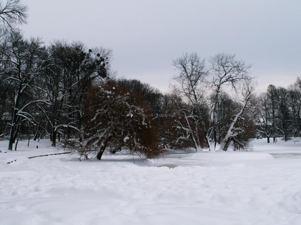 Park Racibórz Zima 2006 #ParkRacibórzZima