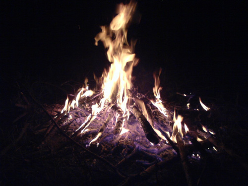 Ognisko w nocy... #ognisko #noc #łąka #las #nocą #ogień