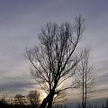 #drzewo #ZachódSlońca