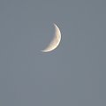 "Pan Księżyc przyglądający się lotom"
zoom 28.7 x #ZOOM