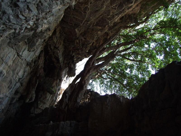 Grutas de Cacahuamilpa (Guerrero, Mexico) #GrutasDeCacahuamilpa