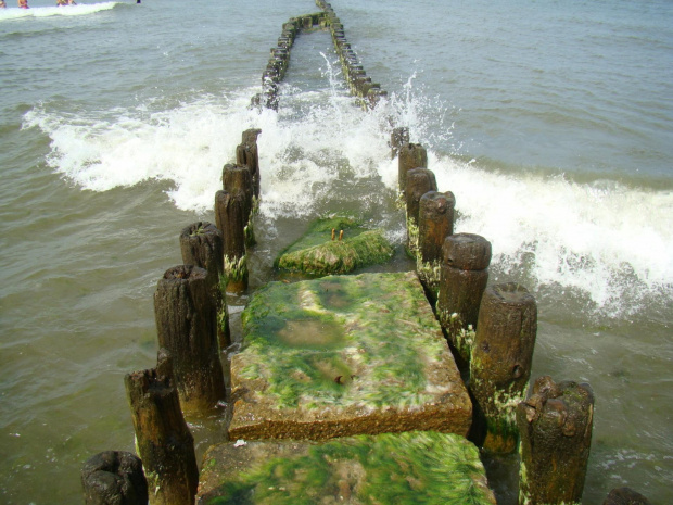 #morze #budowle #rośliny