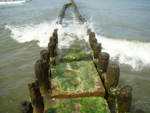 #morze #budowle #rośliny
