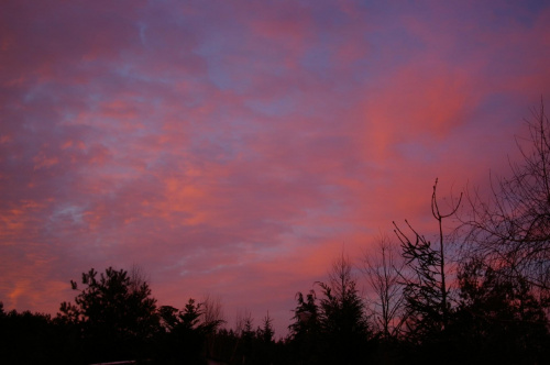 Wschód słońca IV Wagowo,16.01.2008r.