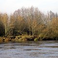 rz.Narew