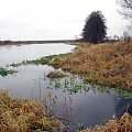 rz.Narew