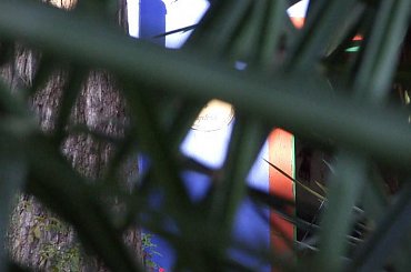 Casa Azul (Museo Frida Kahlo), Coyoacan, Ciudad de México. #MiastoMeksyk #MexicoCity #CasaAzul #FridaKahlo #Coyoacan
