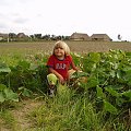 Klimaty dawnej wsi - Kark dla Dynki ;)
