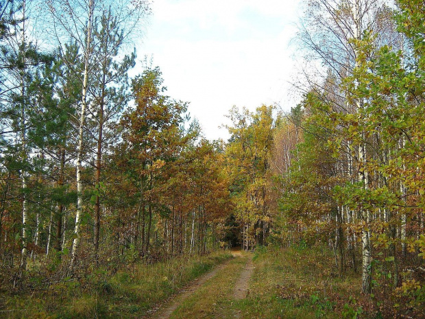 październik 2007