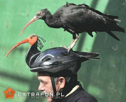 extrafun