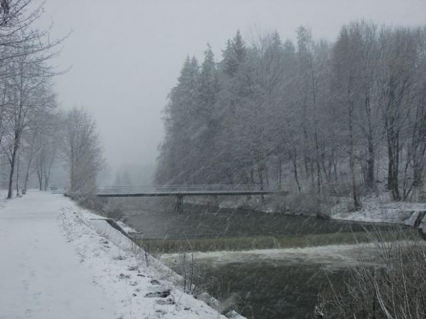 wichura śnieżna , która zaskoczyła nas podczas wchodzenia na Bukową :D