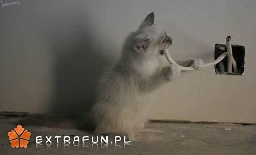 extrafun