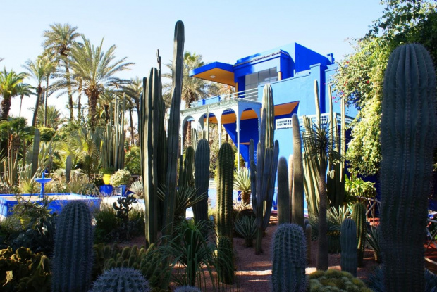 Marrakesz - Jardin Majorelle