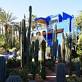 Marrakesz - Jardin Majorelle