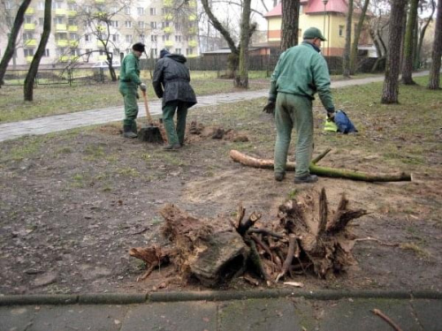 Porządkowanie parku przed nadejściem zimy