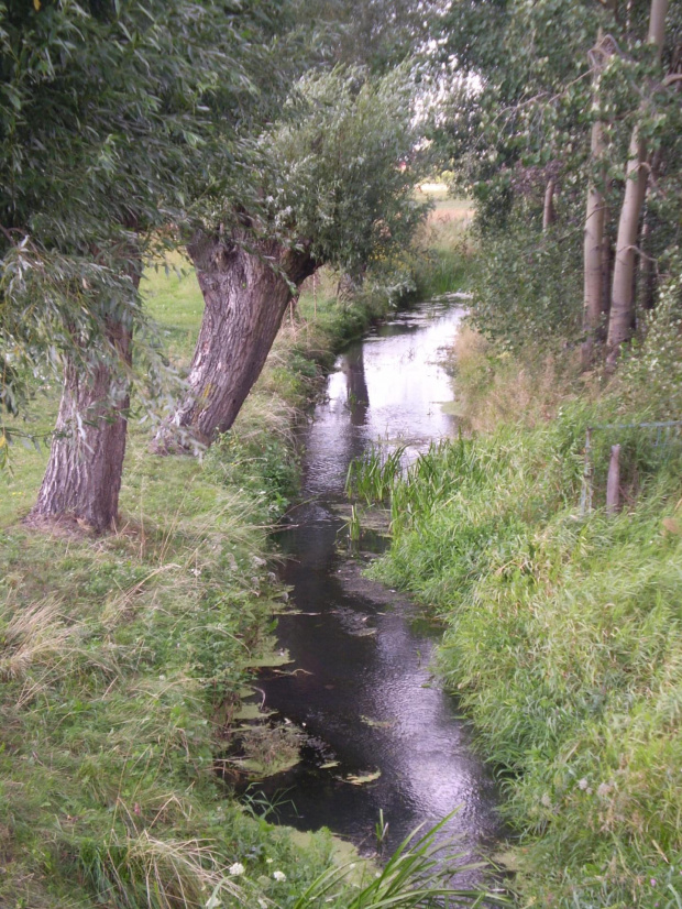 mazowiecka struga #lato #mazowsze #przyroda