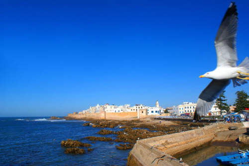 Essaouira - widok na medynę