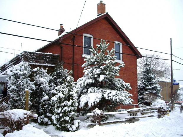moj dom zima
2 lutego 2008 #Zima2008 #MojDom #Toronto