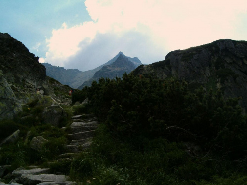 w Dolinie Staroleśnej #Tatry #góry