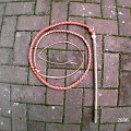 redhide 5'stock whip #StockWhip