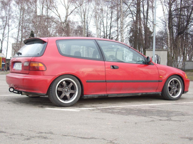 hak i rozne inne zdjecia