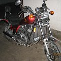 honda vf700