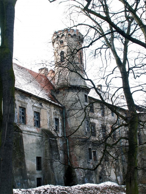Zamek w Głogówku #ZamekGłogówek