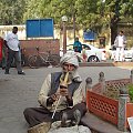 Zaklinacz węży:The street picture in India