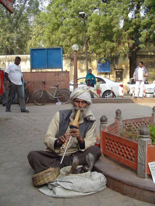 Zaklinacz węży:The street picture in India