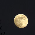 Księżyc-zabawa zoomem