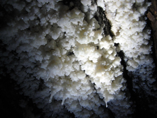 Wycieczka w kopalni soli w Bochni...
