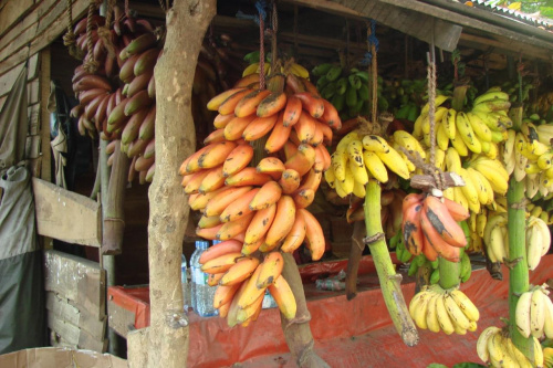 tutaj też czerone banany