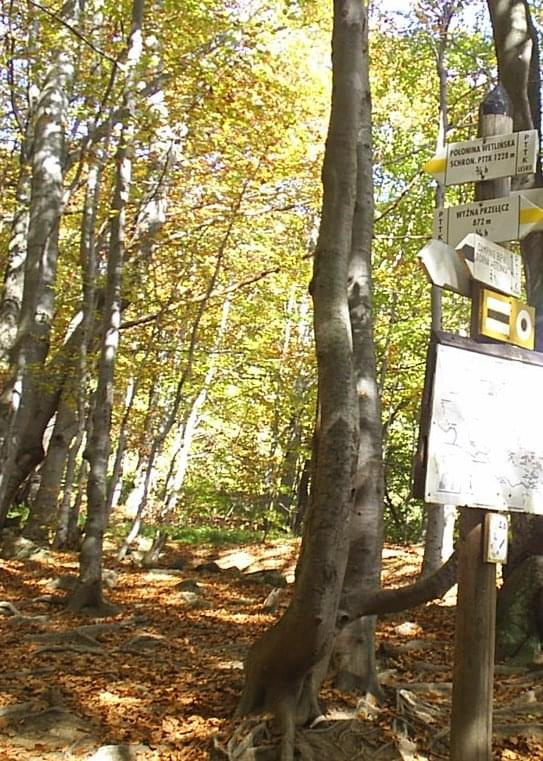 Góry Bieszczady jesienią