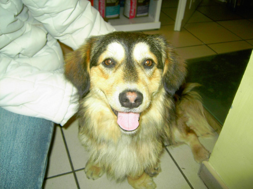 Kajtek
